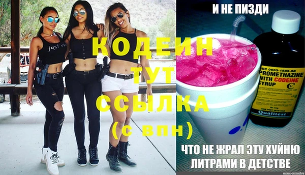индика Михайловка