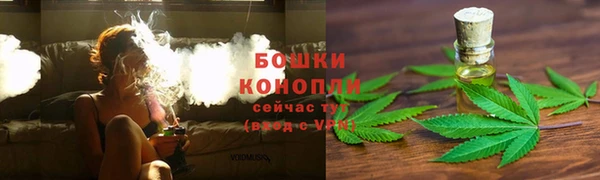 стаф Майский