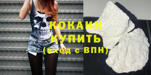 индика Михайловка