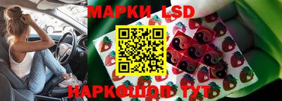 дурь Можга