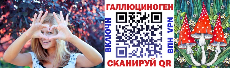 Псилоцибиновые грибы Cubensis  Тихвин 