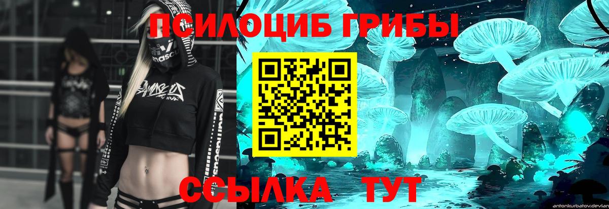 Псилоцибиновые грибы Magic Shrooms Тихвин