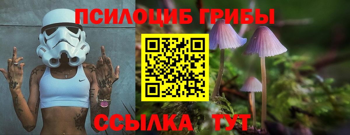 Тихвин  Псилоцибиновые грибы Psilocybe  Вход с VPN 